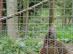 Photo /users/aendr/whiterabbit/157