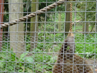 Photo /users/aendr/whiterabbit/157