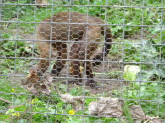 Photo /users/aendr/whiterabbit/158