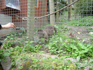 Photo /users/aendr/whiterabbit/159