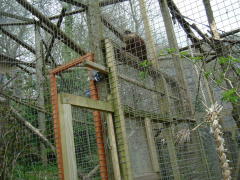 Photo /users/aendr/whiterabbit/160