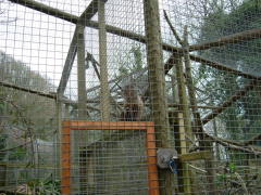 Photo /users/aendr/whiterabbit/161