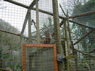 Photo /users/aendr/whiterabbit/161