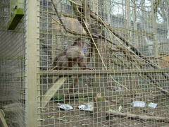 Photo /users/aendr/whiterabbit/162