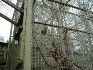 Photo /users/aendr/whiterabbit/163