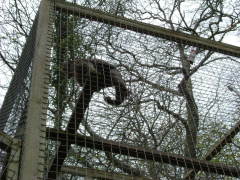 Photo /users/aendr/whiterabbit/164