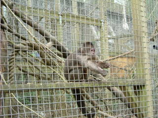 Photo /users/aendr/whiterabbit/166