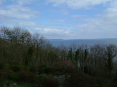 Photo /users/aendr/whiterabbit/168