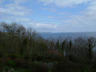 Photo /users/aendr/whiterabbit/168