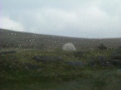 Photo /users/aendr/whiterabbit/170