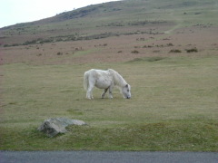 Photo /users/aendr/whiterabbit/171