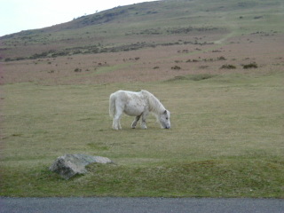 Photo /users/aendr/whiterabbit/171