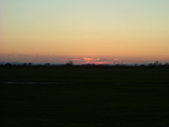 Photo /users/aendr/whiterabbit/1724