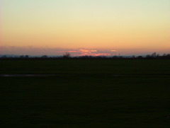 Photo /users/aendr/whiterabbit/1725