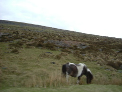 Photo /users/aendr/whiterabbit/174