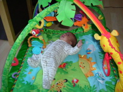 Photo /users/aendr/whiterabbit/1776