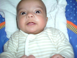 Photo /users/aendr/whiterabbit/1780