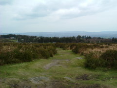 Photo /users/aendr/whiterabbit/179