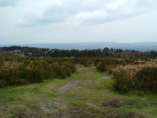 Photo /users/aendr/whiterabbit/179