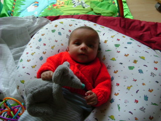 Photo /users/aendr/whiterabbit/1797