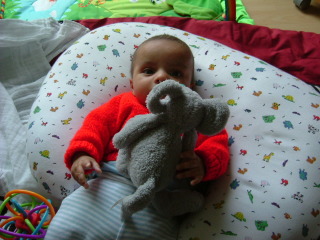 Photo /users/aendr/whiterabbit/1798