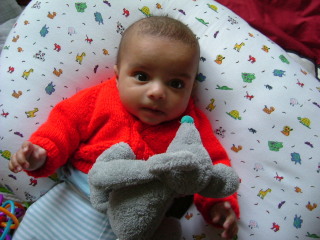 Photo /users/aendr/whiterabbit/1799