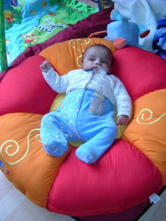 Photo /users/aendr/whiterabbit/1802