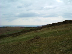 Photo /users/aendr/whiterabbit/181