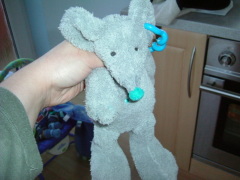 Photo /users/aendr/whiterabbit/1815