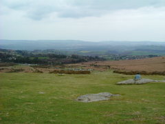 Photo /users/aendr/whiterabbit/183