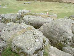 Photo /users/aendr/whiterabbit/185