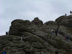 Photo /users/aendr/whiterabbit/193