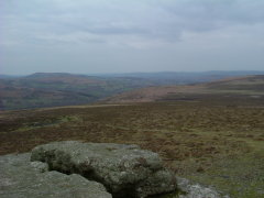 Photo /users/aendr/whiterabbit/195