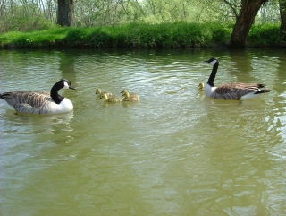 Photo /users/aendr/whiterabbit/208