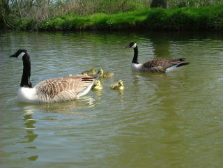 Photo /users/aendr/whiterabbit/209