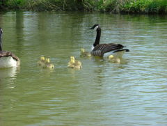 Photo /users/aendr/whiterabbit/210