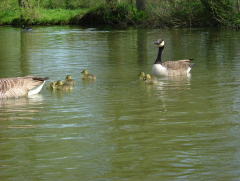 Photo /users/aendr/whiterabbit/211