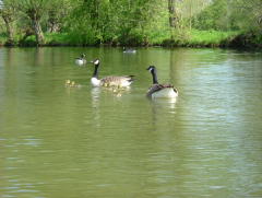 Photo /users/aendr/whiterabbit/212