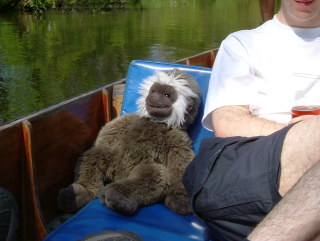 Photo /users/aendr/whiterabbit/213