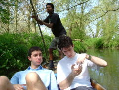 Photo /users/aendr/whiterabbit/216