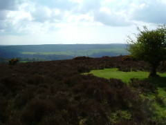 Photo /users/aendr/whiterabbit/227