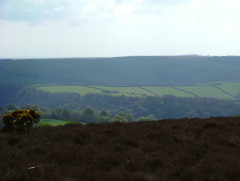 Photo /users/aendr/whiterabbit/228