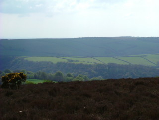 Photo /users/aendr/whiterabbit/228