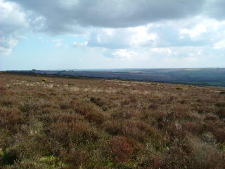 Photo /users/aendr/whiterabbit/229