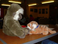 Photo /users/aendr/whiterabbit/23