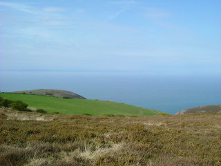 Photo /users/aendr/whiterabbit/230