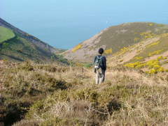 Photo /users/aendr/whiterabbit/231