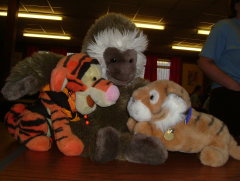 Photo /users/aendr/whiterabbit/25