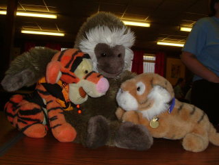 Photo /users/aendr/whiterabbit/25