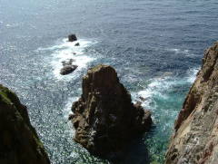 Photo /users/aendr/whiterabbit/288